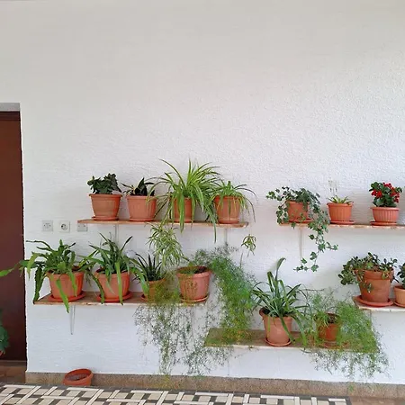 Apartman Flower Terrace *