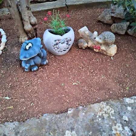 Flower Terrace Vodice