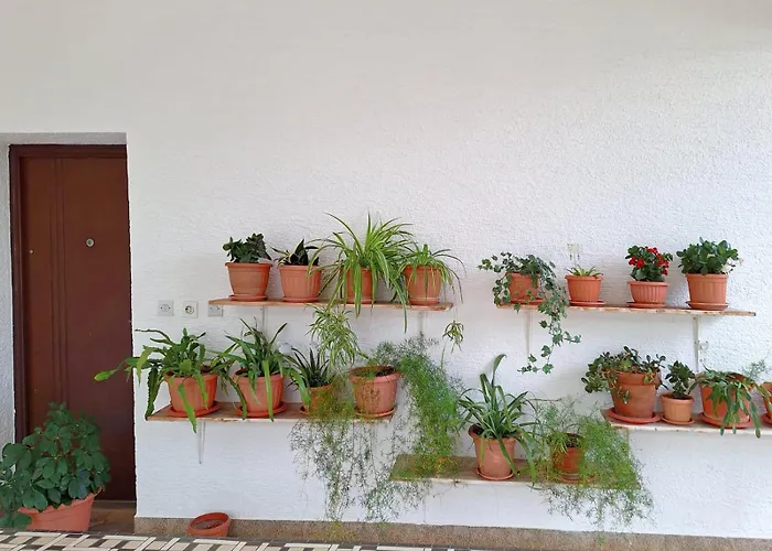 アパート Flower Terrace *